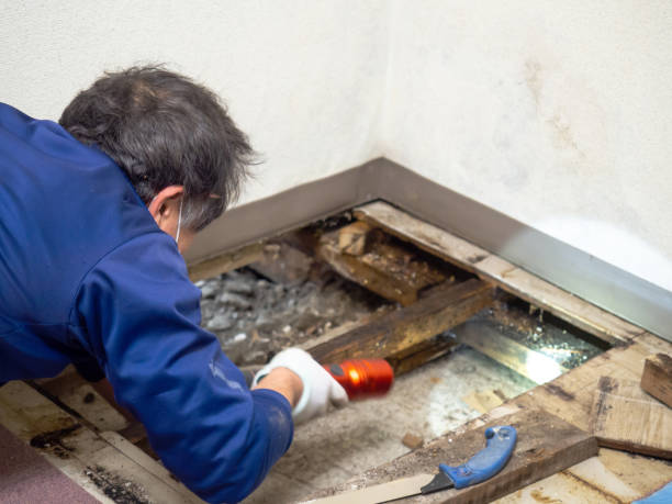 Best Crawl Space Mold Remediation in Country Club Hills, MO